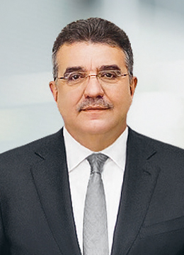 Dr. rer. pol. h.c. Francisco Javier Garcia Sanz (photo)